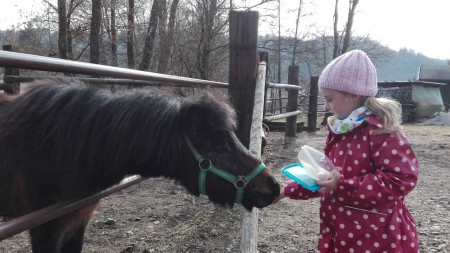 Koníky aj chováme, češeme a sedláme